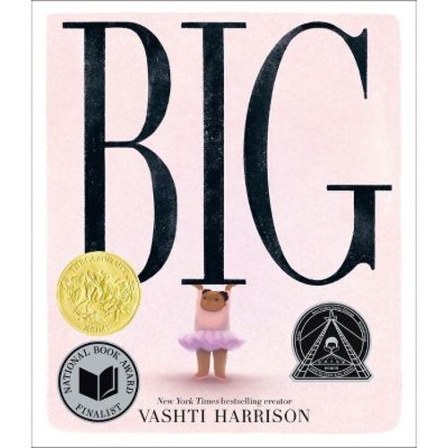 Big - By Vashti Harrison (hardcover)