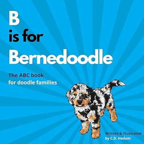 B is for Bernedoodle