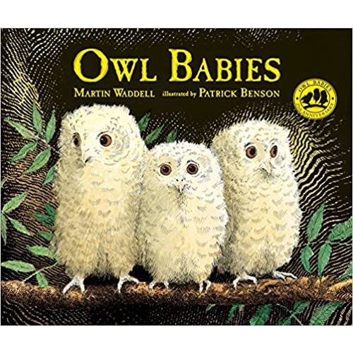 Owl Babies - Hardcover