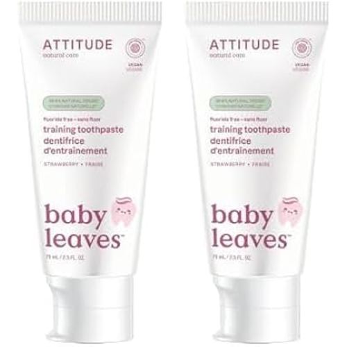 ATTITUDE Baby & Child Fluoride-Free Training Toothpaste, Natural, Vegan & EWG Top Scoring, Strawberry, 2.5 Oz (16721) (Pack of 2)