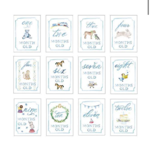 Monthly Milestone Card Set – Over The Moon Gift