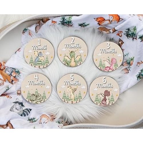 Personalized 7 Pcs Wooden Monthly Baby Milestone Signs, 1-12 Months Baby Signs, Baby Milestone Signs, Baby Name Announcement Sign, Baby Name Signs for Nursery (Dragon)