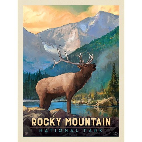 Rocky Mountain National Park: Bull Elk | Anderson Design Group