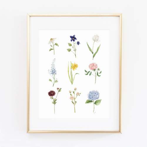 garden flowers art print