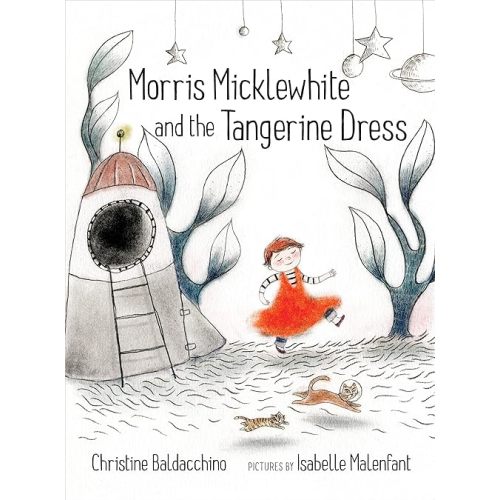 Morris Micklewhite and the Tangerine Dress Hardcover – Picture Book, May 1, 2014