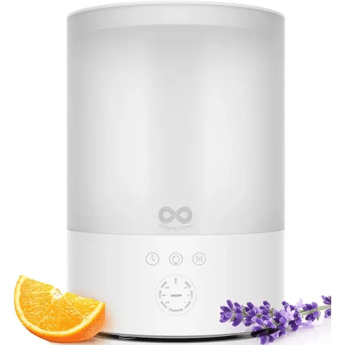 Everlasting Comfort 2.5L Top Fill Humidifiers for Bedroom, Quiet Ultrasonic Cool Mist Humidifier, Easy to Fill & Clean, Auto Shut-Off, 20 Hour Run Time, Aromatherapy