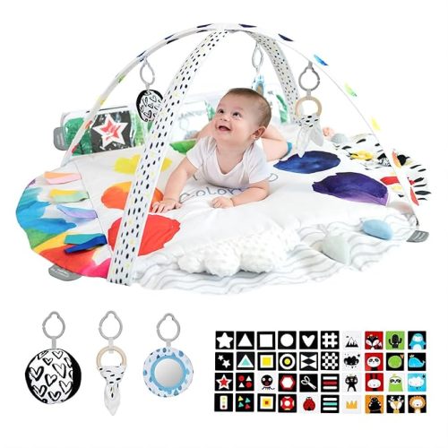 LADIDA Stage Based Baby Play Gym, 4 Zone Sensory & Motor Skills Development Activity Mat, Large 45" Padded Palette Play Mat for Newborn to Toddler with STEM Based Toys, Textures, Learning Cards - My First Palette