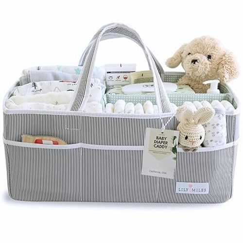 Lily Miles Baby Diaper Caddy - Organizer Tote for Infant Boy or Girl - Baby Shower Basket - Nursery Must Haves - Registry Favorites - Newborn Caddie Car Travel - Gray/Mint, Extra Large