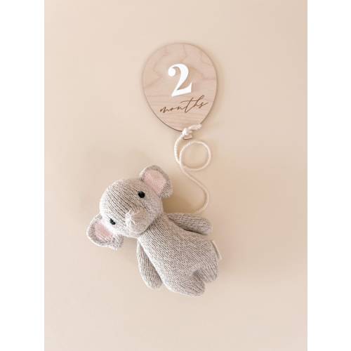 Balloon Milestone Markers | Baby Monthly Milestone Signs | Wood Milestone Cards | Modern Minimal Neutral Baby Gift | Baby Photo Prop