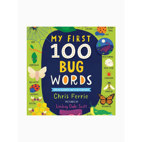 My First 100 Words Board Book