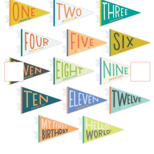 Little Kaleidoscope Petit Milestone Pennants – Lucy Darling