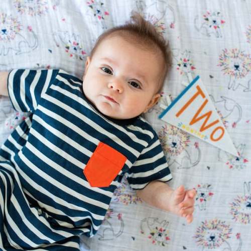 Little Kaleidoscope Petit Milestone Pennant - Lucy Darling | Maisonette