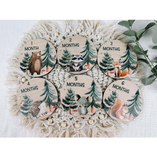 Woodland Milestone Cards, Baby Milestone, Woodland Disc Marker, Wood Milestone Card, Baby Milestone, Photo Prop, Woodland Nursery Theme