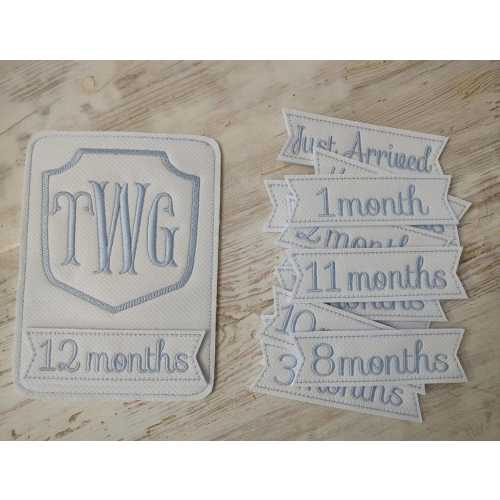 baby milestone cards, monogram, baby gift, first birthday, monthly baby pictures