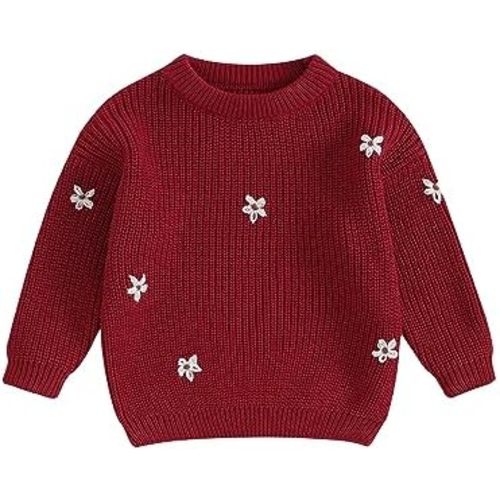 Infant Toddler Baby Girl Knit Sweater Long Sleeve Floral Embroidery Pullover Sweatshirt Warm Fall Winter Clothes