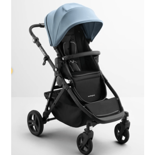 Single-to-Double Stroller 3.0