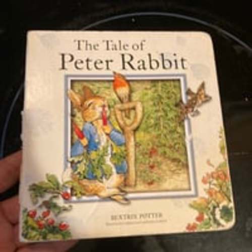 The Tale of Peter Rabbit Board Book