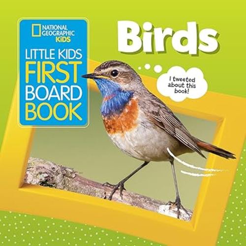Little Kids First Board Book: Birds (First Board Books)