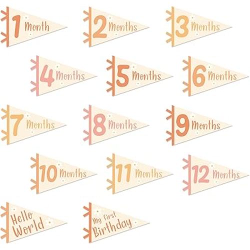14Pcs Baby Milestone Pennant Signs Daisy Monthly Milestone Banner Flags Felt Pennant Signs for Newborn First Birthday Baby Shower Party Decor