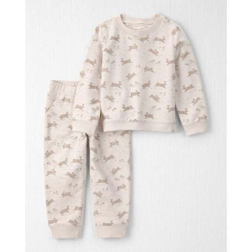 Toddler Organic Cotton Pullover & Pant Set in Jumping Bunny Print - Little Planet | Carter's