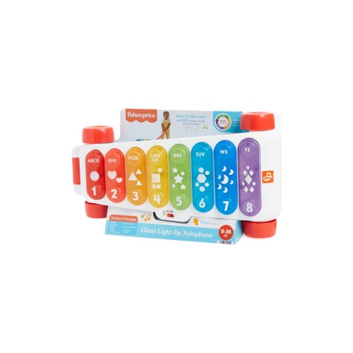 Giant Light-Up Xylophone
