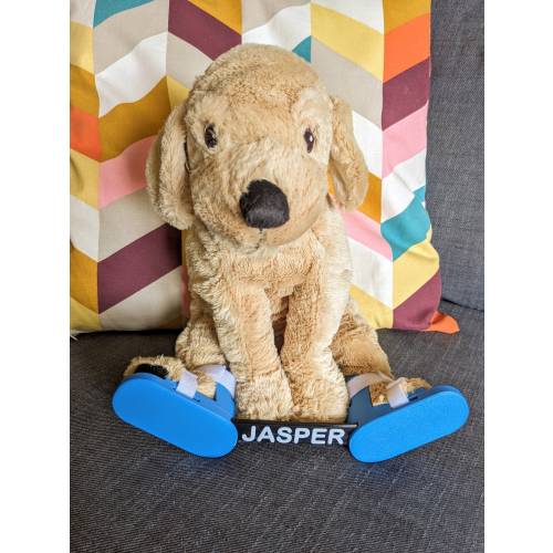 Brace Buddy Puppy with Custom Name Bar