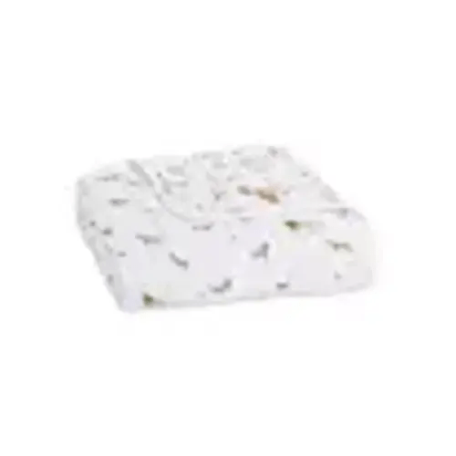 Safari Dreams Blanket