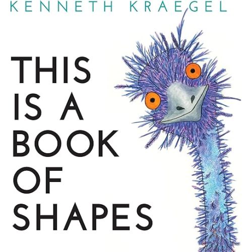This Is a Book of Shapes Board book – Illustrated, September 8, 2020