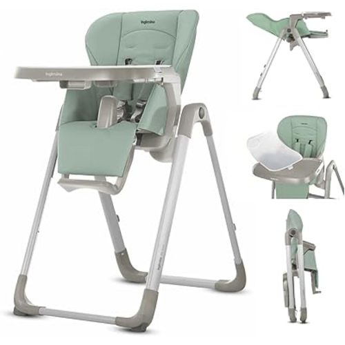 Inglesina My time Highchair, Mint - Adjustable High Chair for Babies & Toddlers, 4 Height & 3 Recline Settings, Collapsible, Tool-Free Assembly, BPA Free, Removable Tray for Easy Cleaning