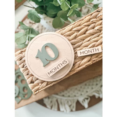 Simple Baby Milestone, Monthly Milestone, Magnetic, Baby Shower Gift, New Mom Gift, New Baby