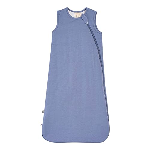 KYTE BABY Unisex Rayon Sleeping Bag for Babies and Toddlers, 1.0 Tog