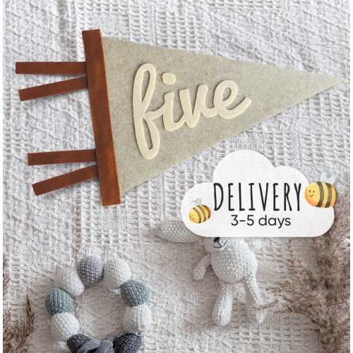 Baby milestone cards, Kids and Baby monthly milestone marker, Personalized pennant, Monthly milestones baby boy, Newborn Milestone pennant