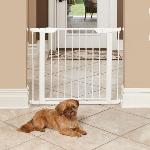 MIDWEST Steel Pet Gate, White, 29-in - Chewy.com