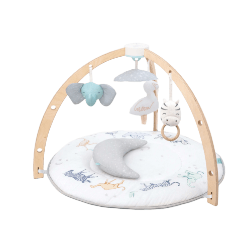 ADEN + ANAIS Play + Discover Activity Gym - Rising Star