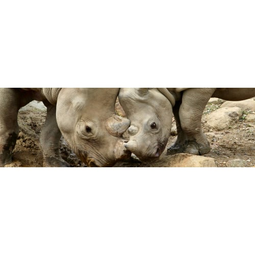 Family Zoo Pass + 1 Guest