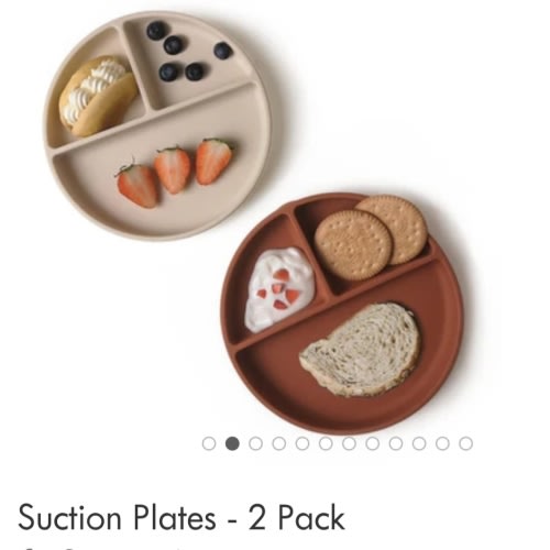 Suction Plates - 2 Pack