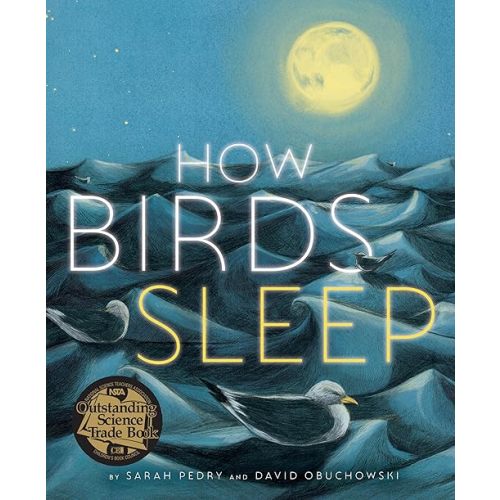 How Birds Sleep Hardcover – Picture Book