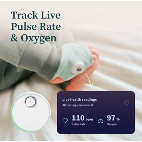 Owlet Dream Sock® - Smart Sleep Monitor with Live Health Readings, HSA Eligible - Mint