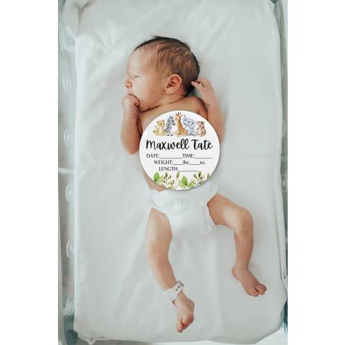 Safari Baby Name Sign Name Announcement - Baby Birth Stat Sign - Custom Wooden Round Wood Girl Personalized Baby Shower Gift