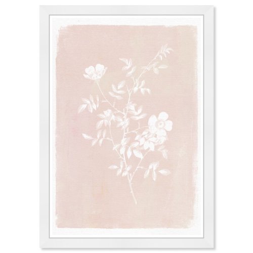 Olivia's Easel Botanical Illustration Ii Framed Art | Wayfair