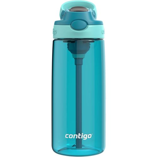 Contigo Aubrey Leak-Proof Spill-Proof Water Bottle, 20oz, Juniper Jade