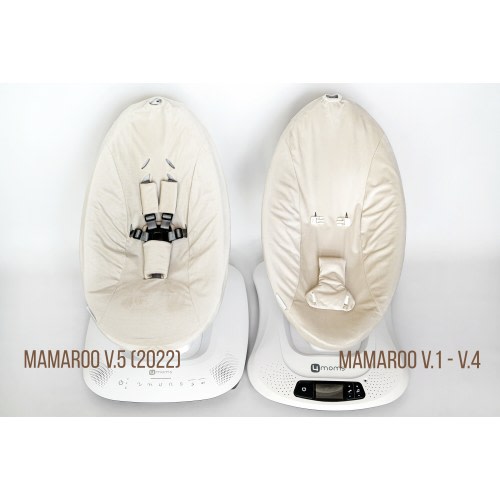 Cover for Mamaroo 2022 v.5