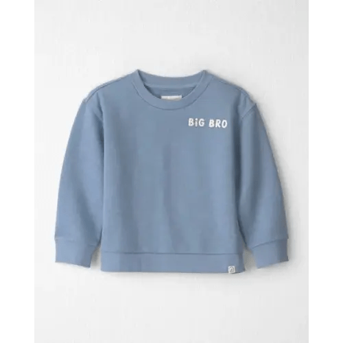 Toddler Boy  Organic Cotton Big Bro Pullover - Little Planet | Carter's
