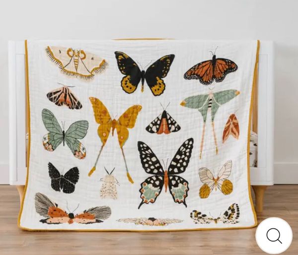 Clementine Kids Butterfly Collector Quilt