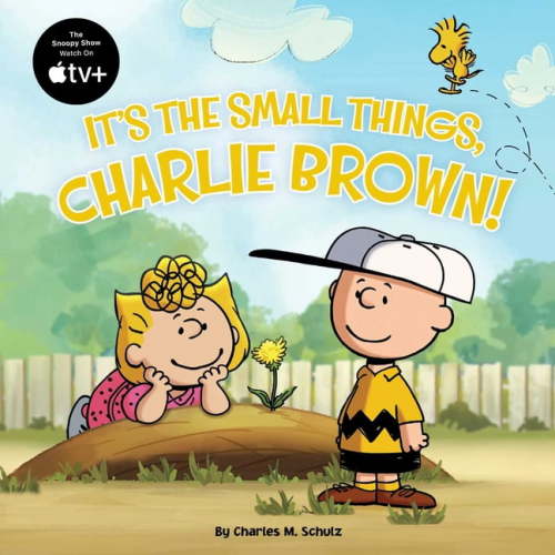 Peanuts: It's the Small Things, Charlie Brown! (Paperback)