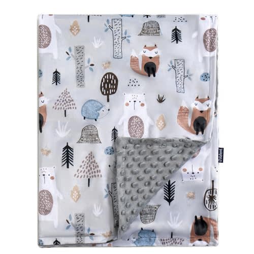 QSTEHEML Baby Blankets for Boys Neutral,Super Soft Nursery Minky Blanket Unisex, Baby Gifts Double Layer with Dotted Backing, Newborn Blankets for Crib Stroller(Fox, 30 * 40inch)