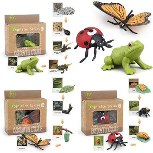 Montessori Life Cycle Learning & Education Toys - Plastic Insect Ladybug, Monarch Butterfly, and Tadpole-to-Frog Kit for Kids, Learning Activities for Early Education