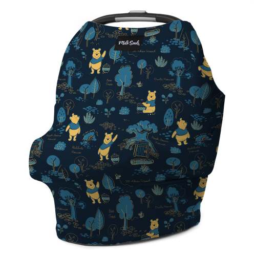 DISNEY WINNIE THE POOH COVER