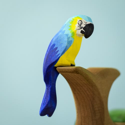 Blue Macaw Parrot
