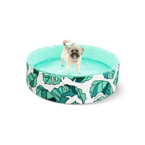 Minnidip Pup Dip - That's Banana Leaves Dog Pool